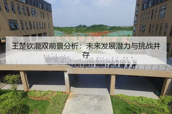 王楚钦混双前景分析：未来发展潜力与挑战并存